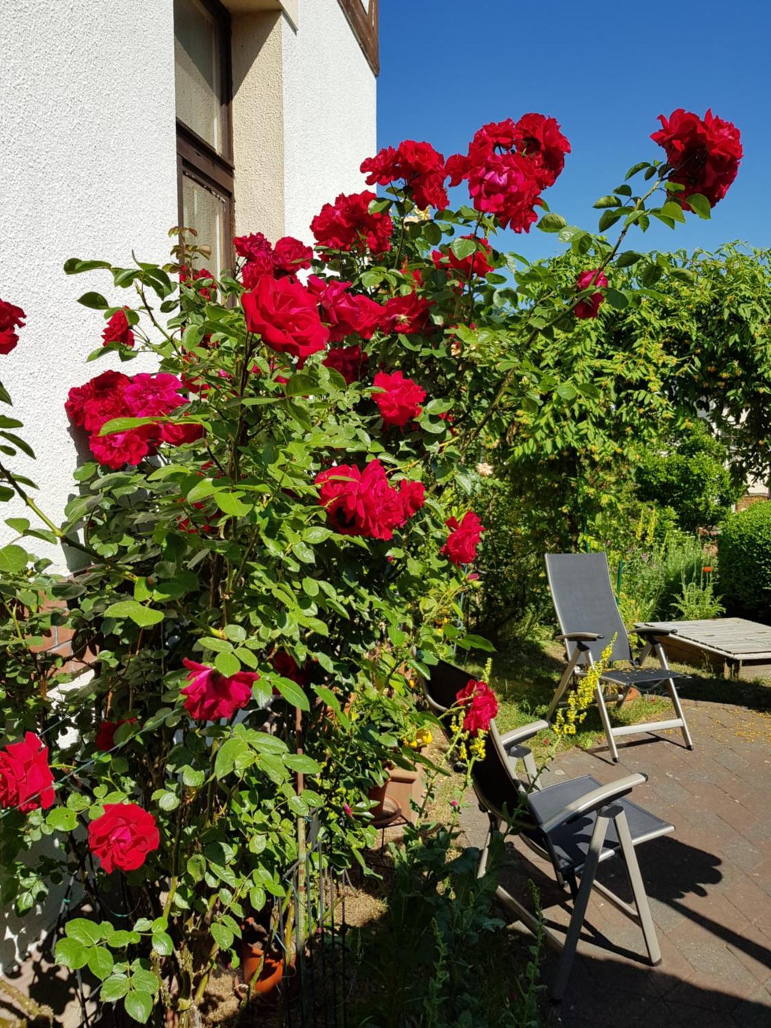Villa Charlotte Bad Liebenstein Exterior foto